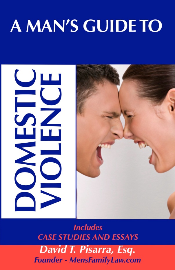 A MAN'S GUIDE TO DOMESTIC VIOLENCE